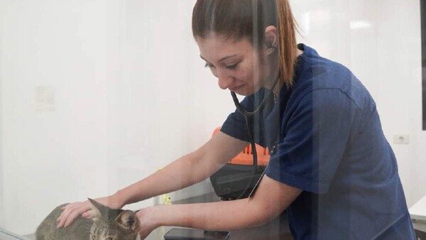 Itapúa: Realizan trabajo conjunto en favor de animales