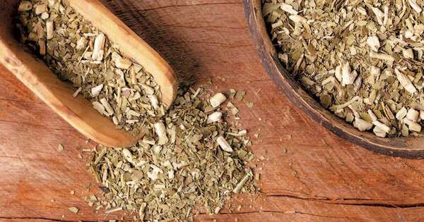 La Nación / Yerba mate, la gran carta de presentación paraguaya en 27 países