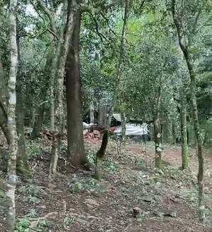 Intervención en la Costanera Pira’i dejó dos detenidos por invasión - ABC en el Este - ABC Color