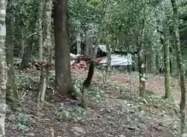 Dos detenidos tras la invasión de una reserva forestal a orillas del Lago Acaray