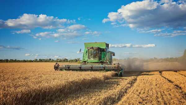 Cosecha de soja Zafriña enfrenta atrasos y rendimientos bajos debido a las lluvias, según Capeco - MarketData