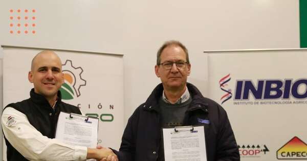 La Nación / Establecen alianza para ampliar desarrollo en el Chaco a través de la investigación