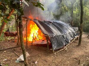 Destruyen 189 mil kilos de Marihuana en la Reserva Natural del Bosque Mbaracayú