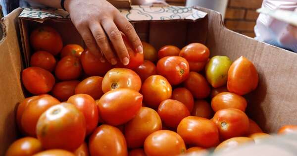 La Nación / A partir de junio podría empezar a bajar el precio del tomate
