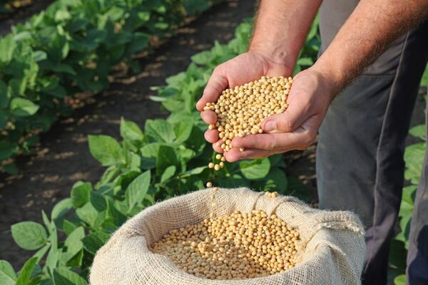Gremios de la producción cuestionan capacidad de la UE para promover exportaciones paraguayas - MarketData