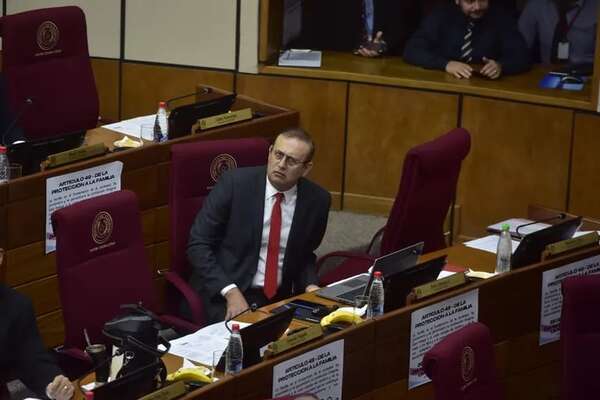 Senado: cartistas alegan que situación de Erico es “personal” y no será analizada en bancada - Política - ABC Color