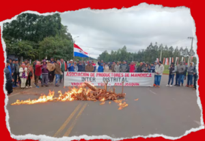 AGRICULTORES QUEMAN SUS MANDIOCAS EN PROTESTA