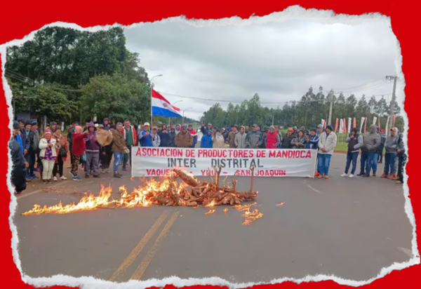 AGRICULTORES QUEMAN SUS MANDIOCAS EN PROTESTA