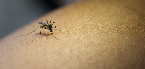 Concepción: Dengue grave suma una víctima de 40 años