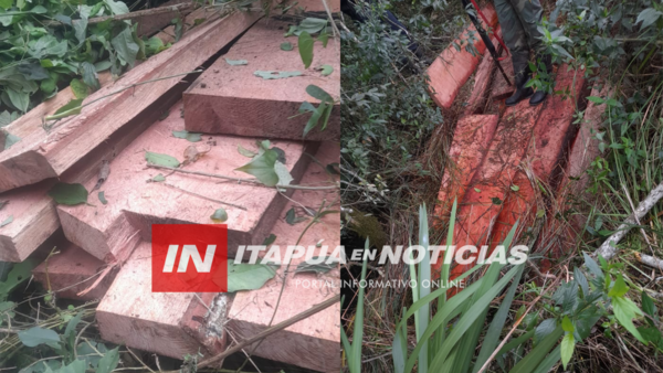 INCAUTARON MADERA NATIVA EN EL DISTRITO DE ALTO VERÁ - Itapúa Noticias