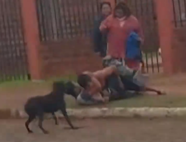 (VIDEO). Arriero se presentó ka’ure a la casa de su ex y se armó un sarambi