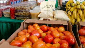 Mejora oferta de tomate local, pero precio sigue alto
