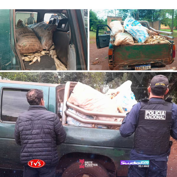 CAPTURAN A HOMBRE CON ANTECEDENTES MIENTRAS HURTABA MAÍZ EN UN CULTIVO DE CARLOS A. LÓPEZ - TVS