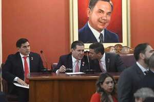 Peña rindió cuentas a Cartes: “Fue un acto simbólico de ir a besar el anillo del patrón” - Política - ABC Color