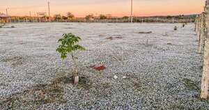 La Nación / Chaco paraguayo registró temperatura de 3,4 °C bajo cero, esta mañana