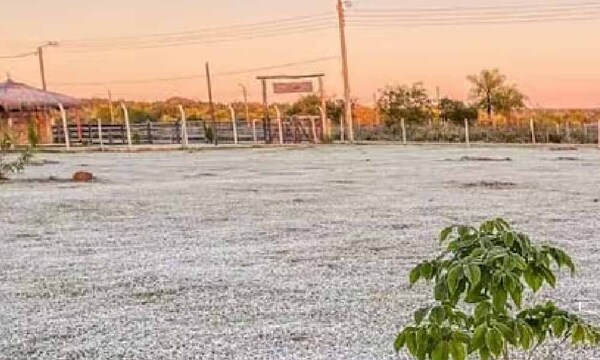 Chaco paraguayo registró temperatura de 3,4 °C bajo cero, esta mañana – Prensa 5
