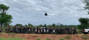Casi 200.000 kilos de marihuana fueron eliminados de la Reserva Natural del Bosque Mbaracayú