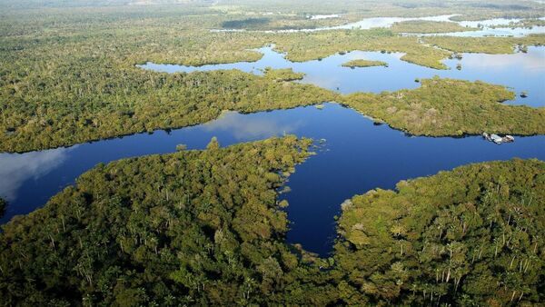 Brasil registra la primera caída de la deforestación en cinco años
