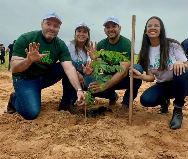 Progreso verde en la Costanera Sur con más de 3.700 plantines cultivados - El Independiente