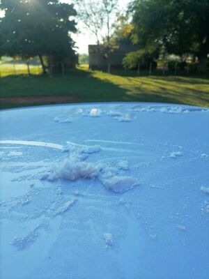 Primeras Escarchas se manifiestan en el Norte