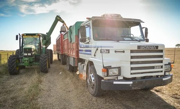 Auge en la exportación agrícola hacia Brasil y Uruguay