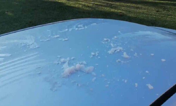 Primeras heladas del año ante bajas temperaturas se registran en Concepción y el Chaco – Prensa 5