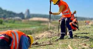 Diario HOY | Plantaron más de 3.700 árboles en la Costanera Sur