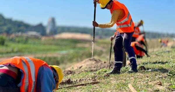 Diario HOY | Plantaron más de 3.700 árboles en la Costanera Sur