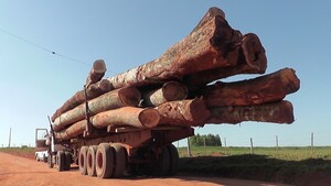Países suramericanos critican norma de UE contra deforestación por no basarse en ciencia