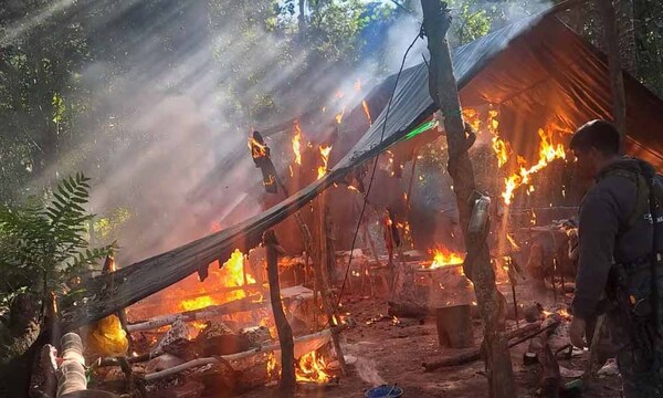 Destruyen 3.600 kilos de marihuana picada en Curuguaty – Prensa 5