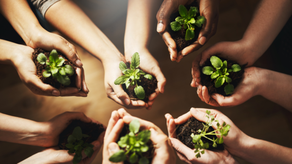 UIP busca promover la producción sostenible mediante el programa 'Al- Invest Verde' - trece