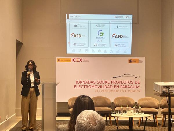 AFD expone planes de financiamiento para proyectos de electromovilidad - MarketData