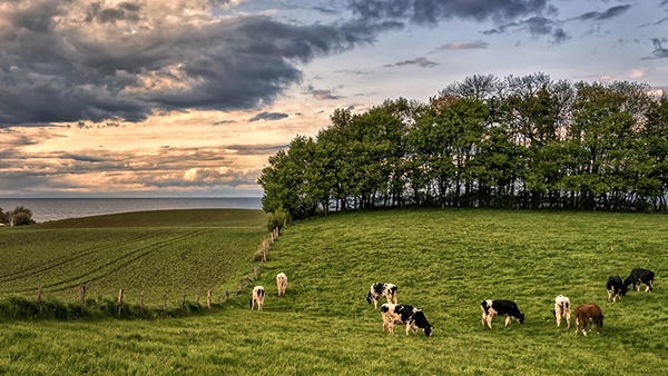 Temperaturas para el campo serán moderadas, según experto - ADN Digital