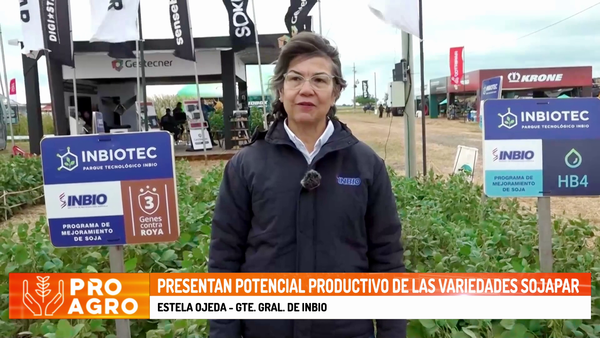 Presentan potencial productivo de las variedades SOJAPAR - Megacadena - Diario Digital