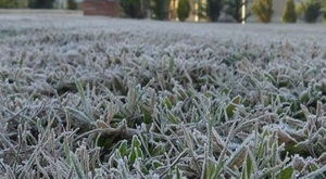 Persistirá el clima frío a fresco a nivel país - ADN Digital