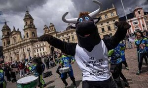 Colombia aprueba prohibir corridas de toros a partir de 2027 – Prensa 5