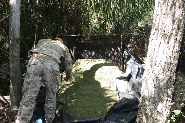 Agentes de la Senad y Federales brasileros en operación conjunta contra el narcotráfico en Amambay - Oasis FM 94.3