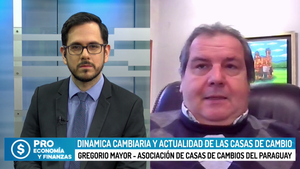 Dinámica cambiaria y actualidad de las casas de cambio - Megacadena - Diario Digital