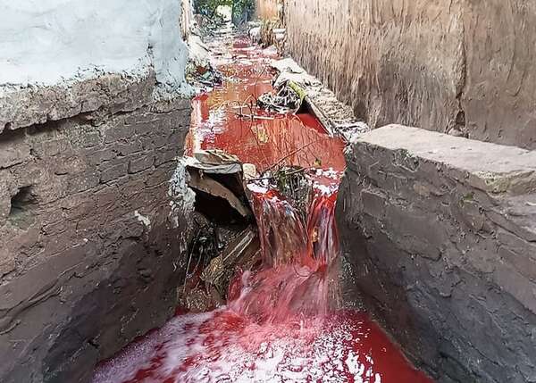 AUDIO: Contaminación de Arroyo San Lorenzo: esta mañana verificarán planta de tratamiento de farmacéutica, según MADES - La Primera Mañana - ABC Color