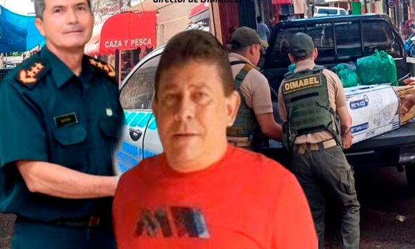 Armatráfico: DIMABEL no habría remitido al Ministerio Público la intervención y decomiso a Caza y Pesca Monday – Diario TNPRESS