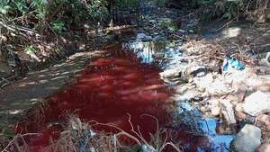 Aguas rojas en San Lorenzo: Mades halló origen de efluentes, pero no pudo ingresar a planta farmacéutica - Nacionales - ABC Color