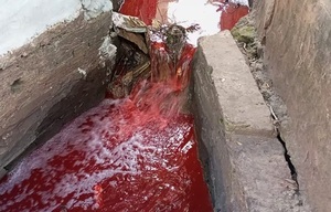 Cauce hídrico de San Lorenzo teñido de rojo causa preocupación