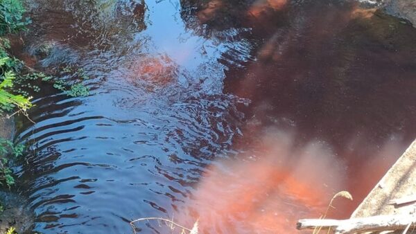 Mades interviene farmacéutica por teñir de rojo canal que conecta con el arroyo San Lorenzo