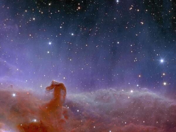 El telescopio Euclid descubre nuevos planetas sin estrella - Tecnología - ABC Color