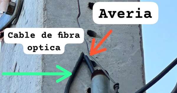 Diario HOY | Malviviente intenta robar cables y produce fallas eléctricas en el IPS