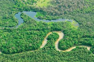 Lanzan sistema de alertas tempranas para combatir la deforestación en Paraguay