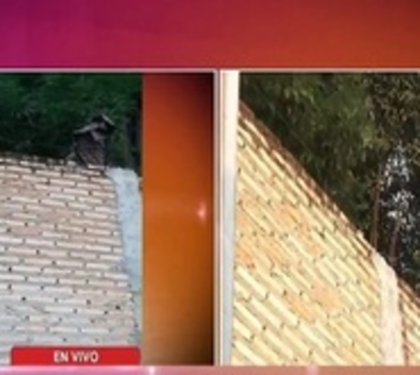 Quiso robar cables del IPS y tras sufrir descarga resultó herido - Paraguay.com