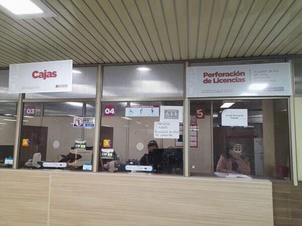 Este viernes vencen las licencias de conducir en Asunción: ¿cuánto cuesta su renovación y dónde puedo revalidar? - Nacionales - ABC Color