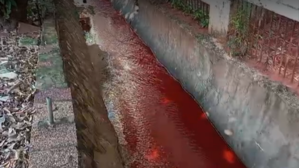 Alerta por contaminación de arroyo: Farmacéutica bajo la lupa de autoridades ambientales - trece