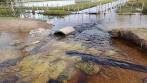 Anuncian ayuda a familias afectadas por inundaciones en Ñeembucú - Nacionales - ABC Color